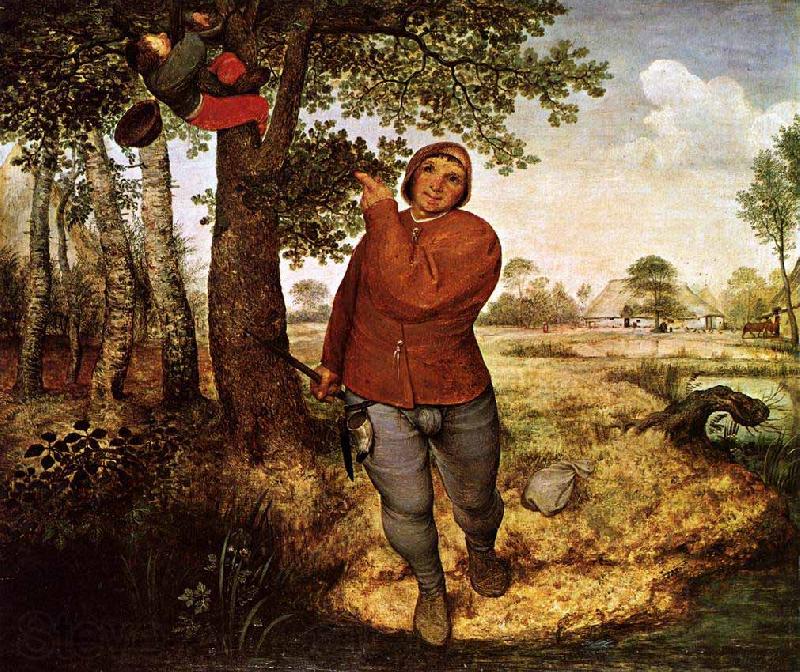 Pieter Bruegel the Elder Peasant and the Nest Robber Norge oil painting art